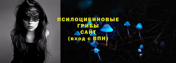 дмт Нягань
