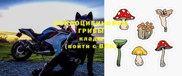 mdma Няндома