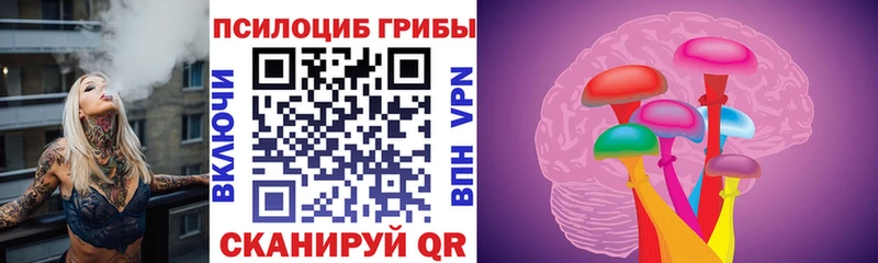 Галлюциногенные грибы Cubensis  Купить где  Богданович 